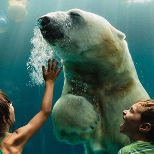 CityPASS for Toronto Attractions