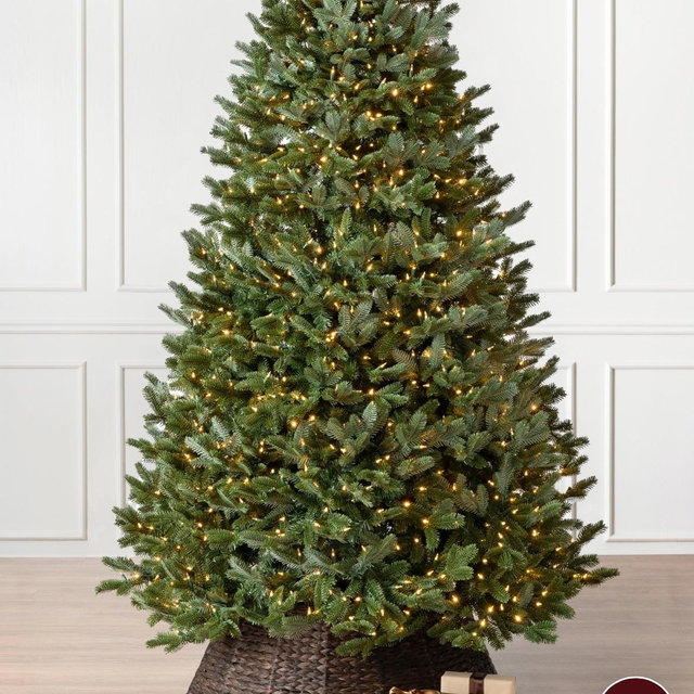Balsam Hill Fraser Fir Christmas Tree Fund