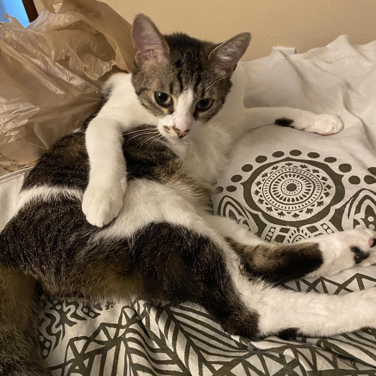 Did someone say “food?”