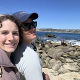 La Jolla Cove, The Children's Pool