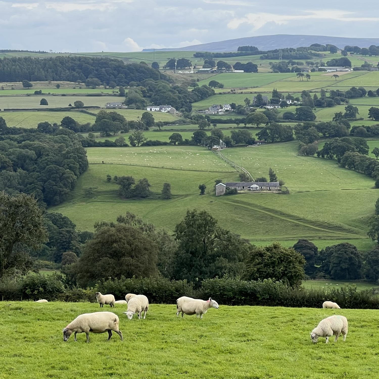 Along Hadrian’s Wall…does it get anymore scenic in England?