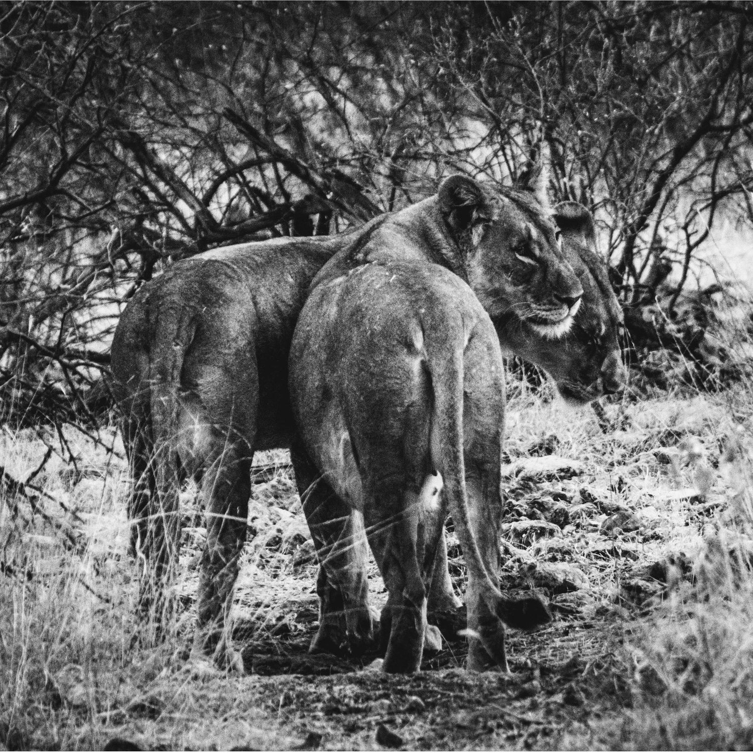 Namibia 2018