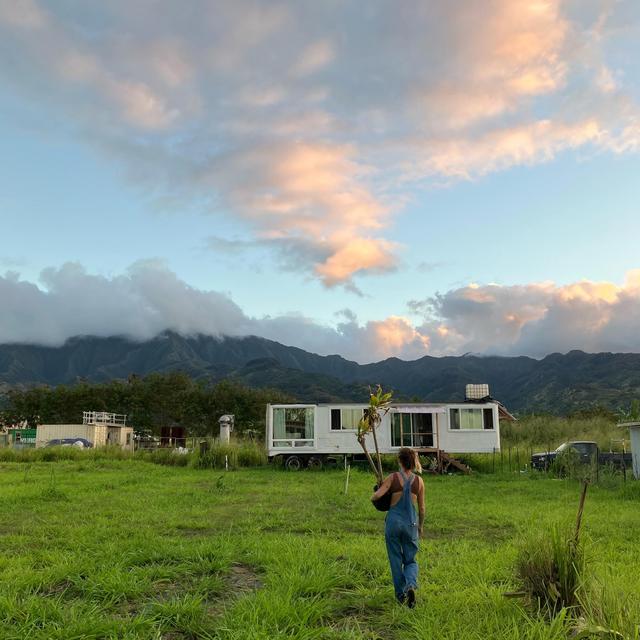 Cash Fund for Container Home and Farm