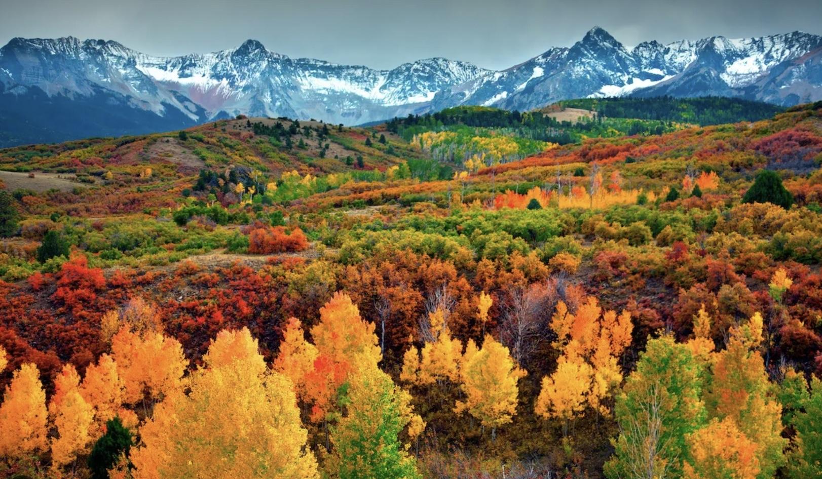 The Wedding Website of McKenna Shifflet and Alex Shifflet