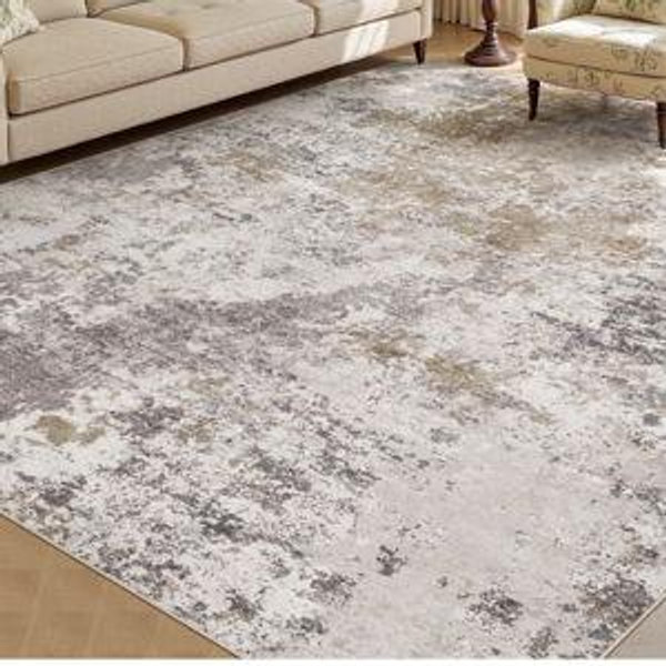 Front room rug
