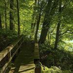Chippewa River Trail