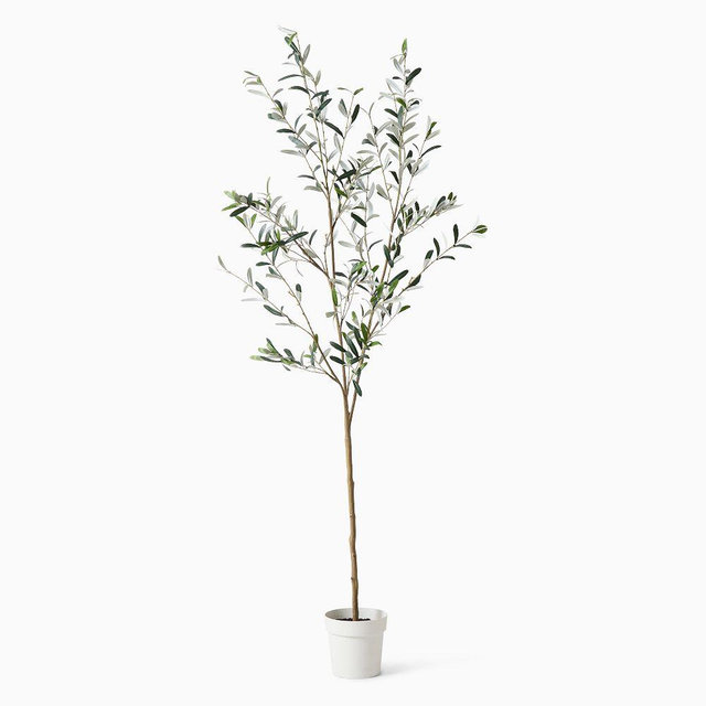 Faux Potted Black Olive Tree, 6.5', Green