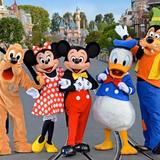 Disneyland Theme Parks