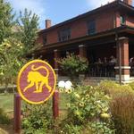Frothy Monkey Coffeehouse