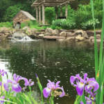 Bowman's Hill Wildflower Preserve