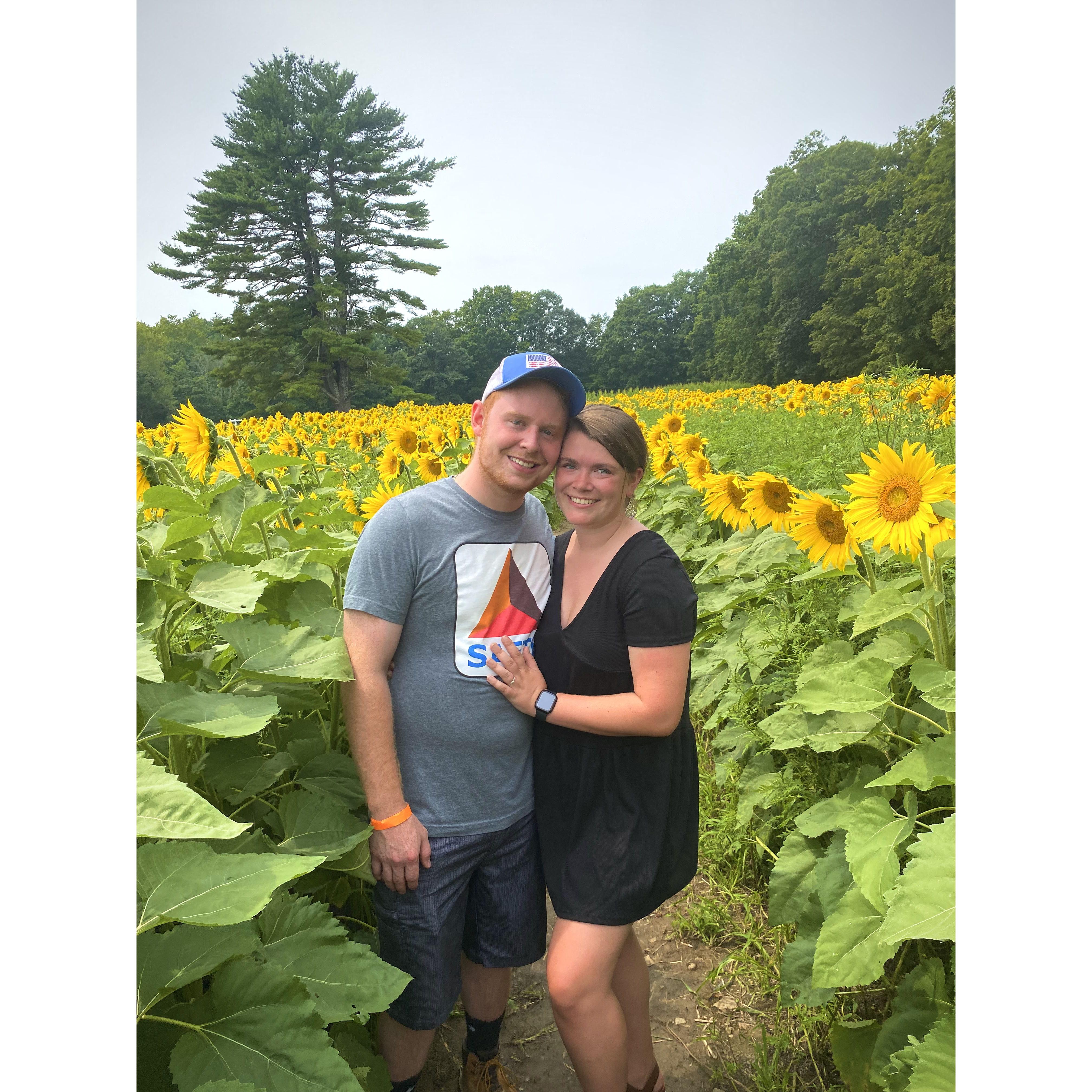 Sunflower Fest 8/7/21