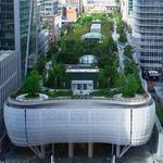 Salesforce Park