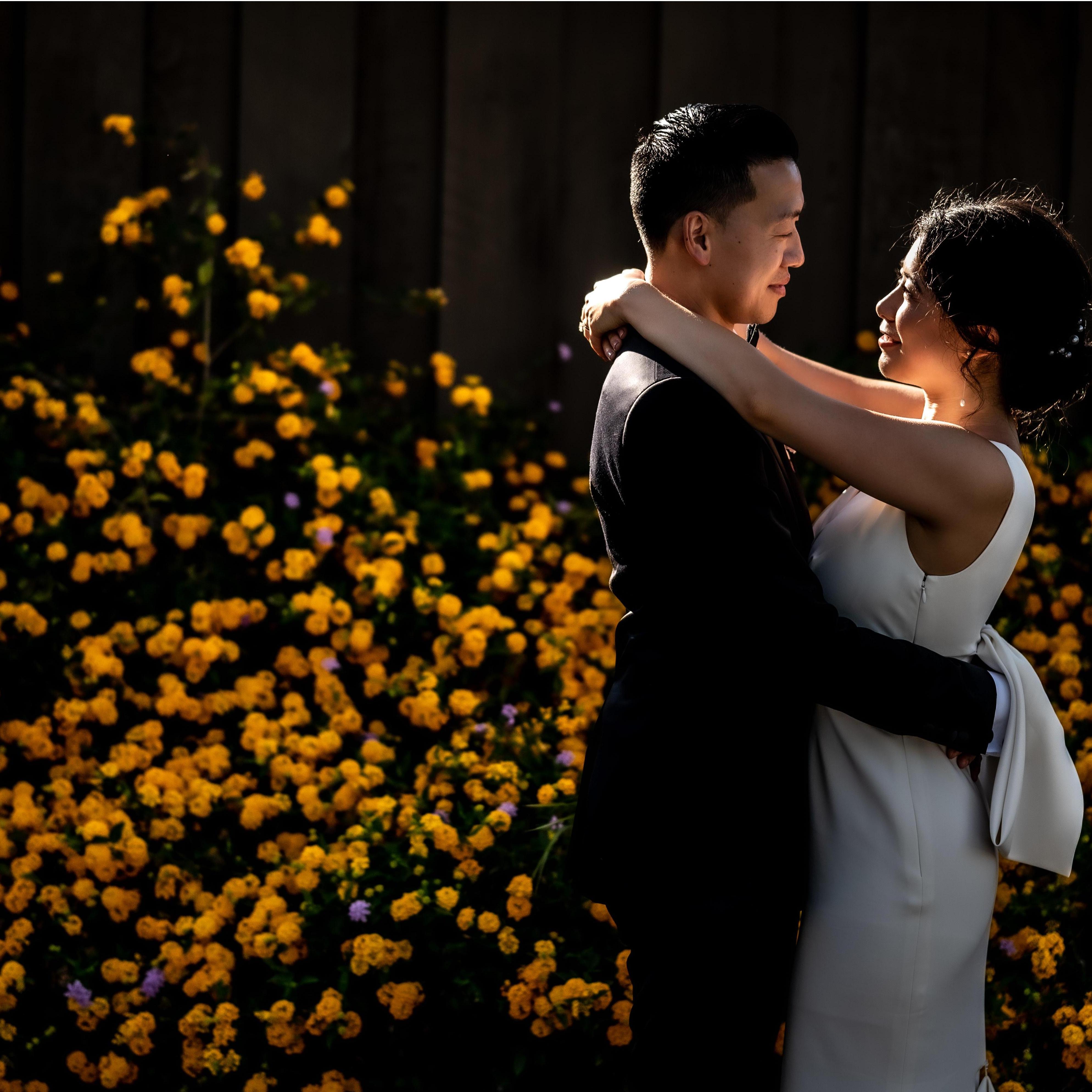 Walking in a field of gold