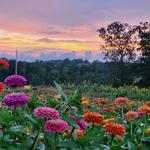 Flat Top Mountain Farm