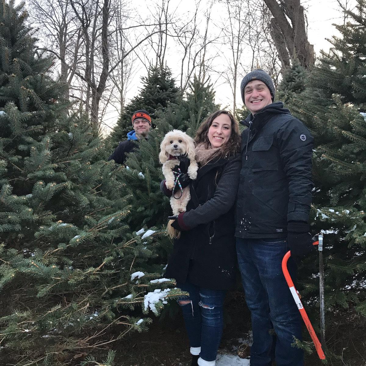December 2019 - Griffin family outing to find the perfect Christmas tree! 🎄