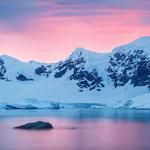 Trip to the Antarctic