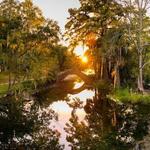City Park