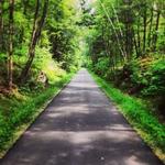 Windham Rail Trail