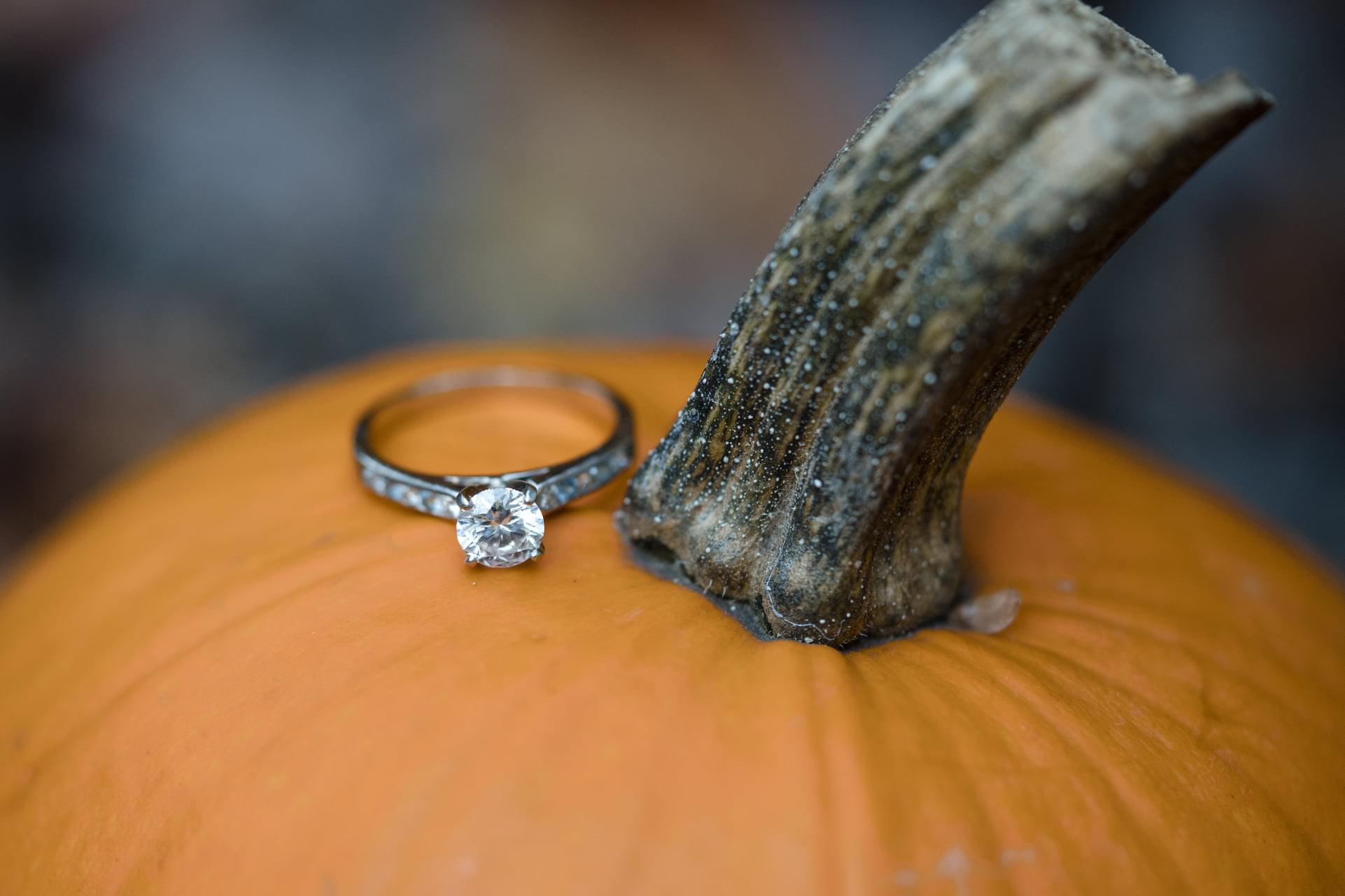 Engagement Photo Session 10/22/2021
