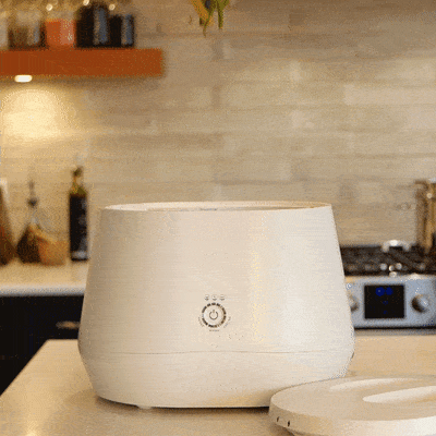 Lomi Composter