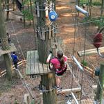 TreeRunner Adventure Park & Mini Golf West Bloomfield