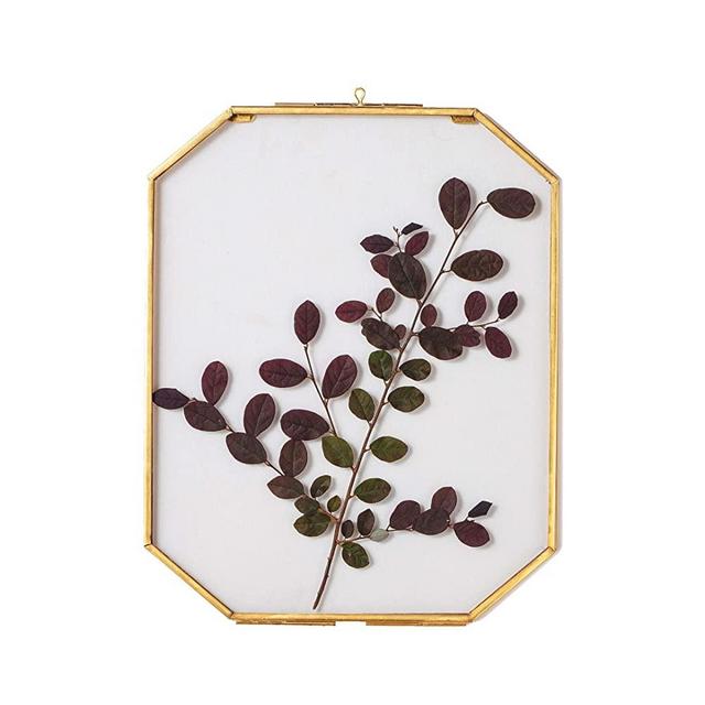NCYP Wall Hanging 8X10 inches Long Octagon Herbarium Brass Glass Frame for Pressed Flowers, Dried Flowers, Poster, Double Glass, Floating Frame Style, Glass Frame only