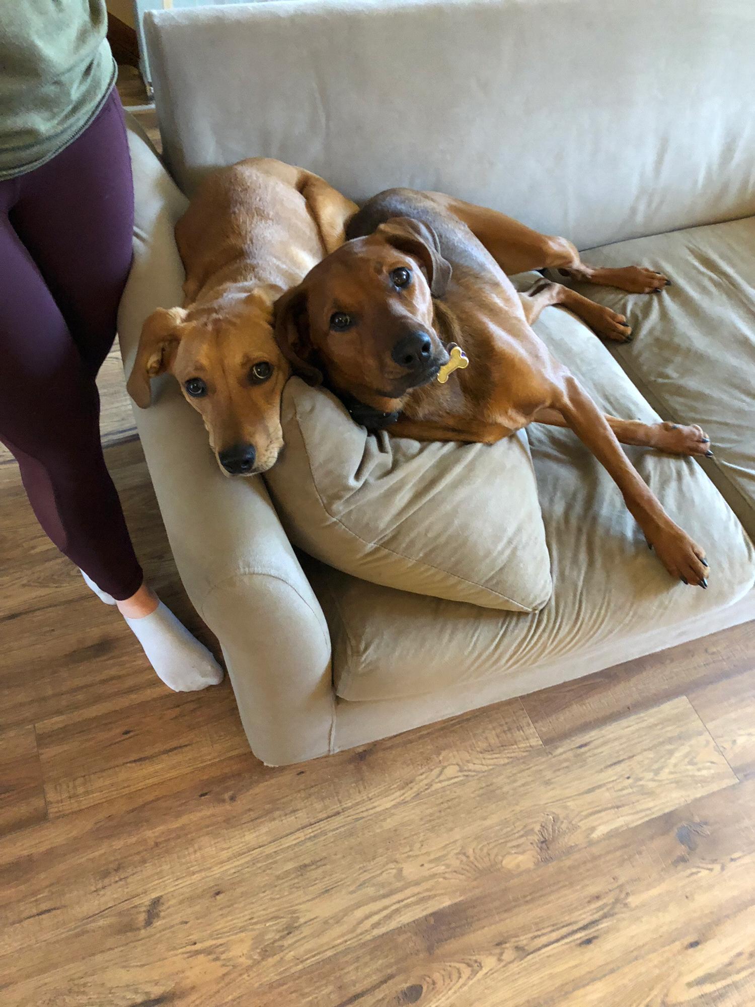 Lola and Lily.  We love them!