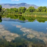 Dead Horse Ranch State Park