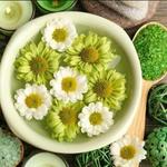 Nurture Wellness Village