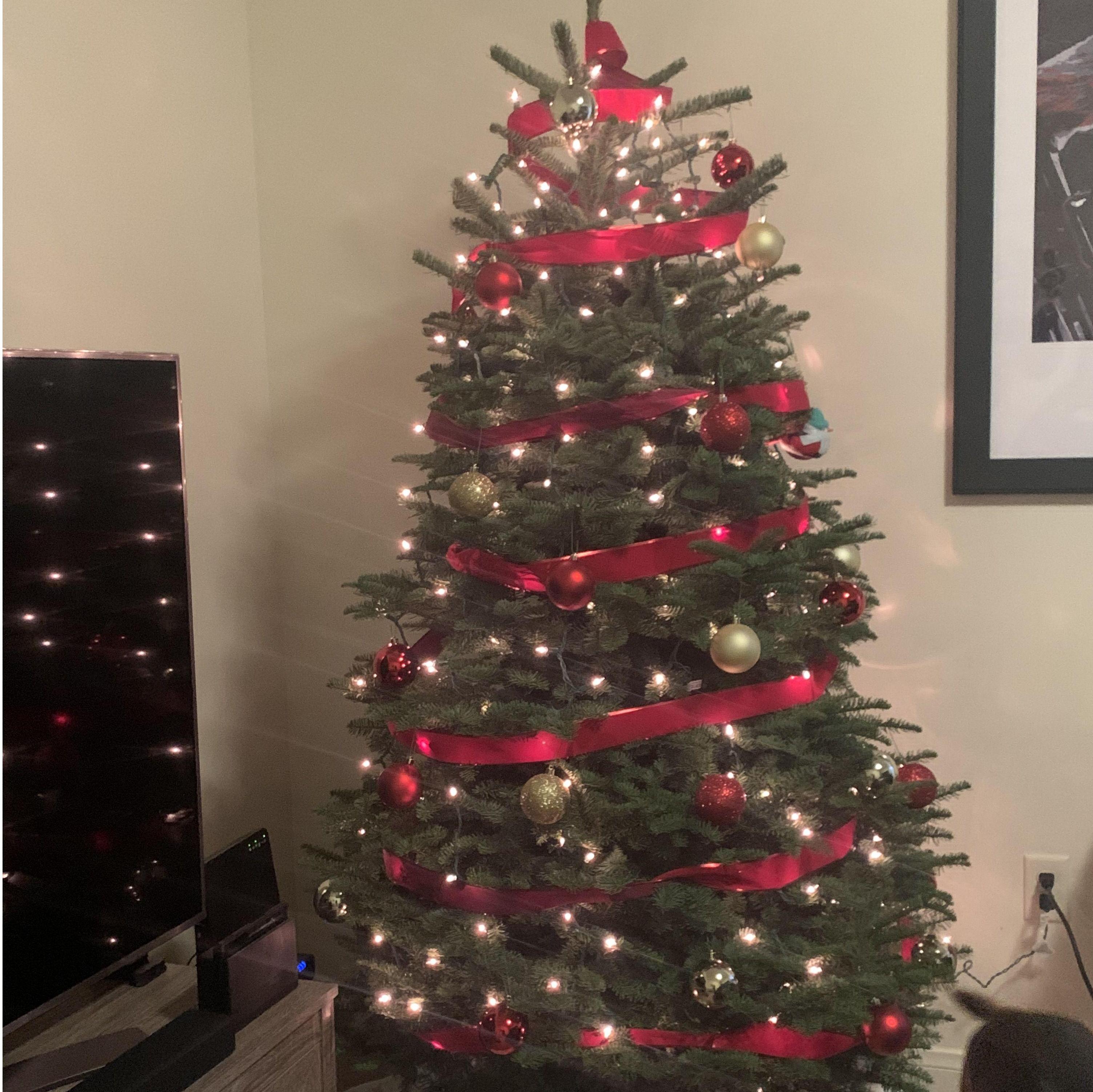 First Christmas Tree in Our Apartment