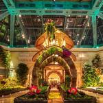 Bellagio Conservatory & Botanical Gardens