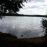 Falling Waters Trail