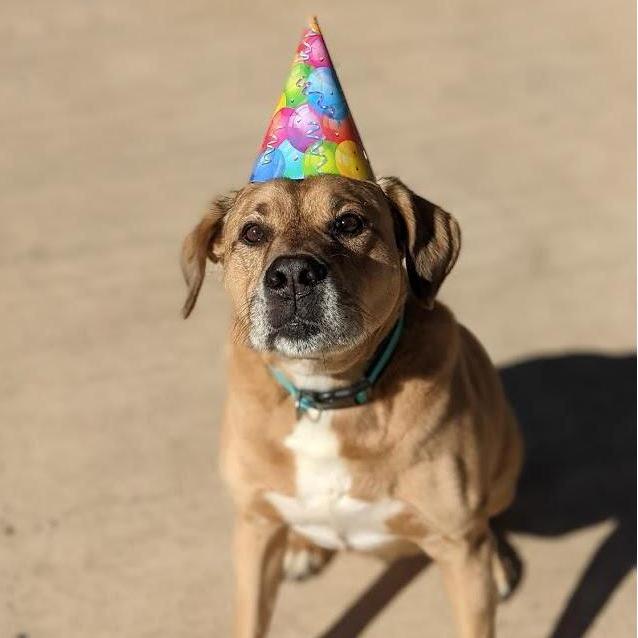 our favorite boy.
