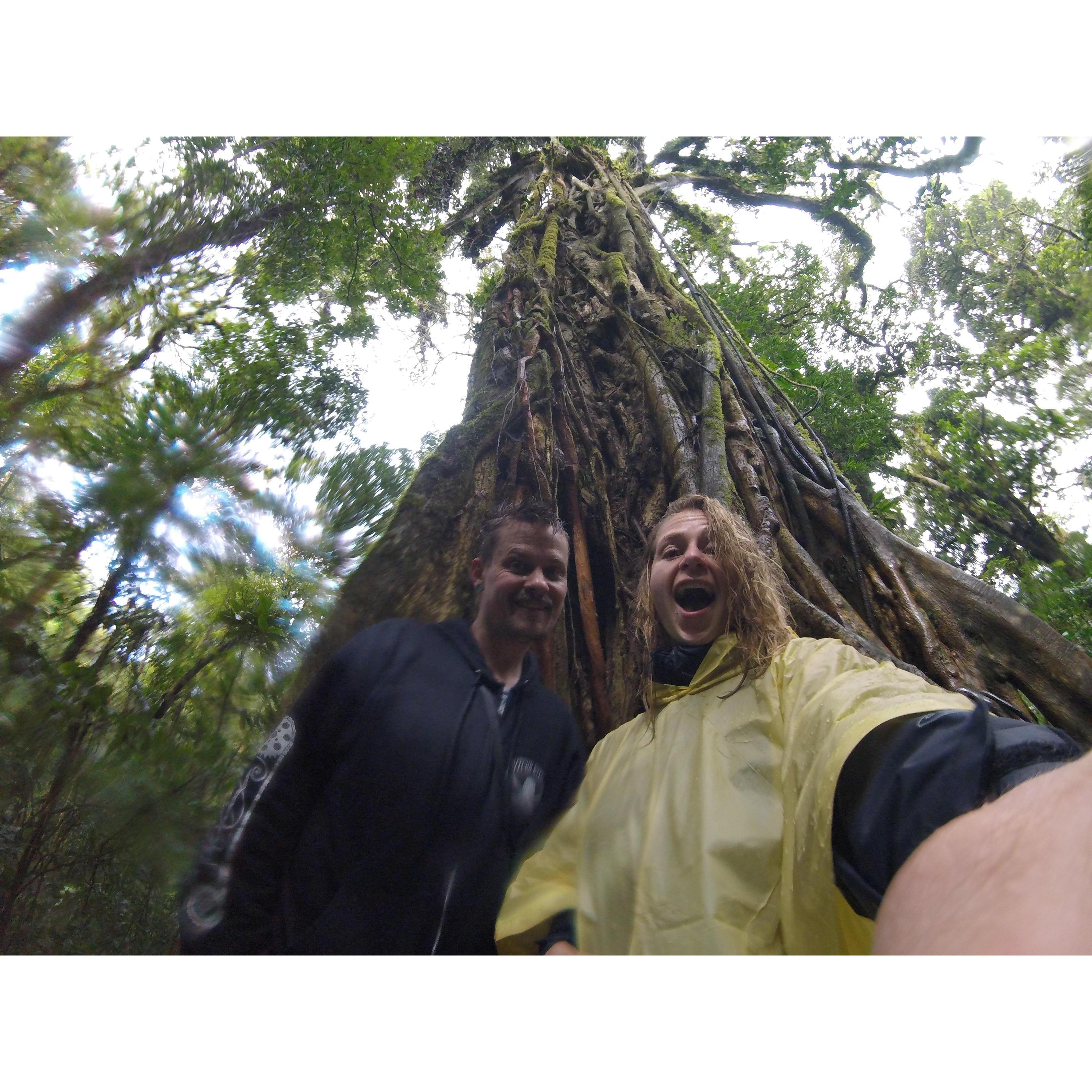 Monteverde Cloud Forest Reserve, Costa Rica, 2018