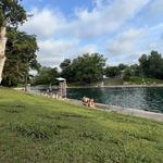 Barton Springs Pool