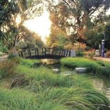 UC Davis Arboretum and Public Garden