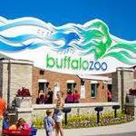 The Buffalo Zoo