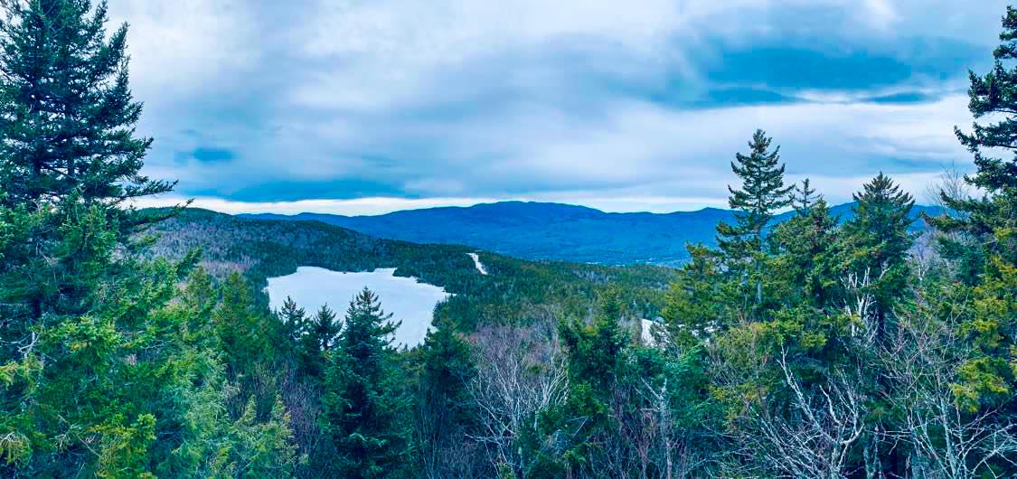 The Wedding Website of Lisa Mattrella and Charles Fuehrer