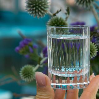 Bach Liquer Glass, Set of 4