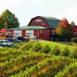 Carter Mountain Orchard and Country Store