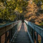 Steep Rock Preserve