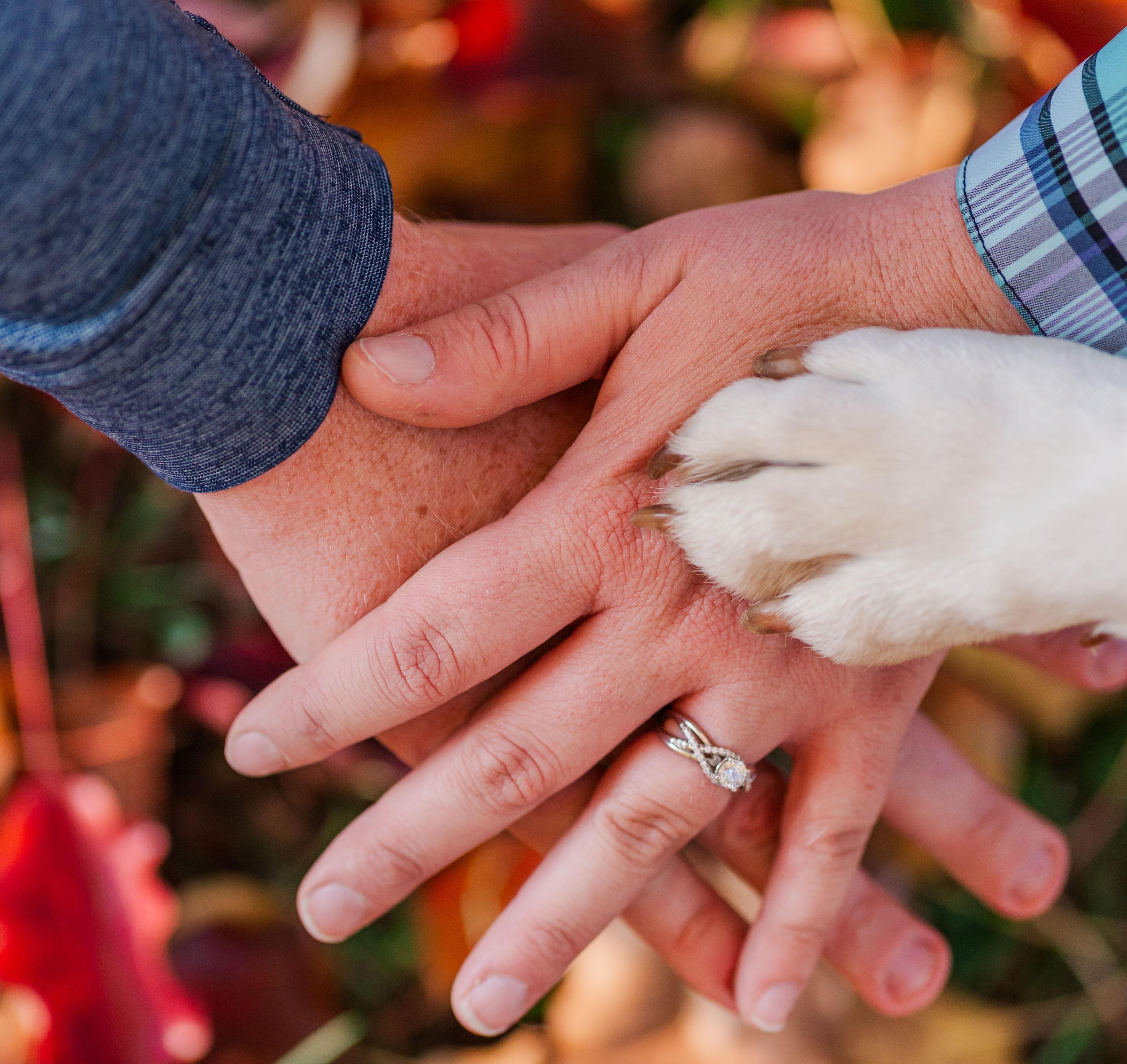 The Wedding Website of Sarah Moseley and Rusty Kruger