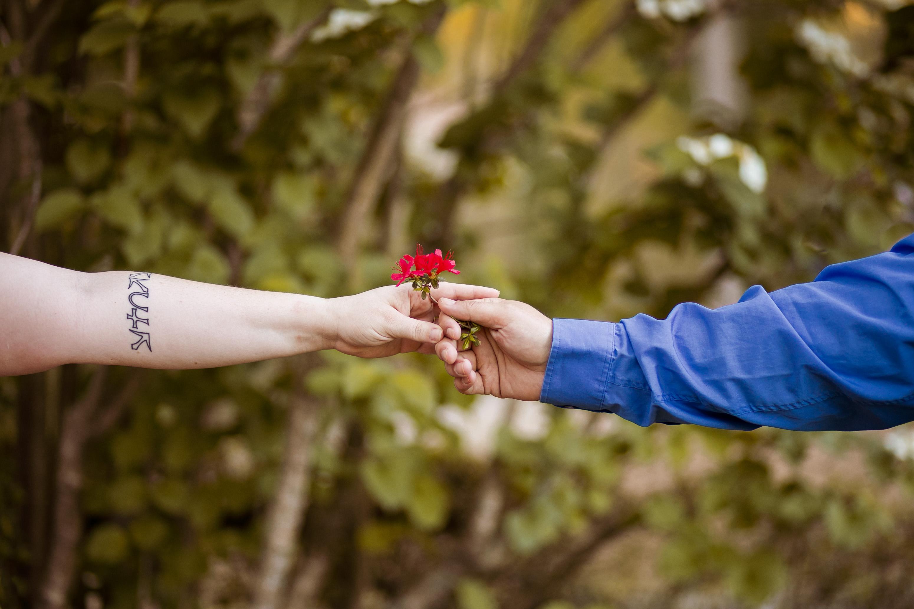 The Wedding Website of Alison Williams and Steven Norris