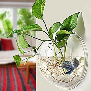 Wall Fish Tank Acrylic Wall Aquarium 1 Gallon Fish Bowl 11.5 Inch Home Decoration Pot (Two Models: Only Tank or Tank with LED)
