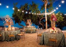 The Wedding Website of Erika Ferrie and Elvin Giordano