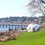 White Rock Beach