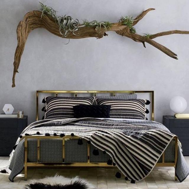 New bed!