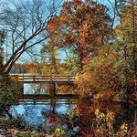 Parvin State Park
