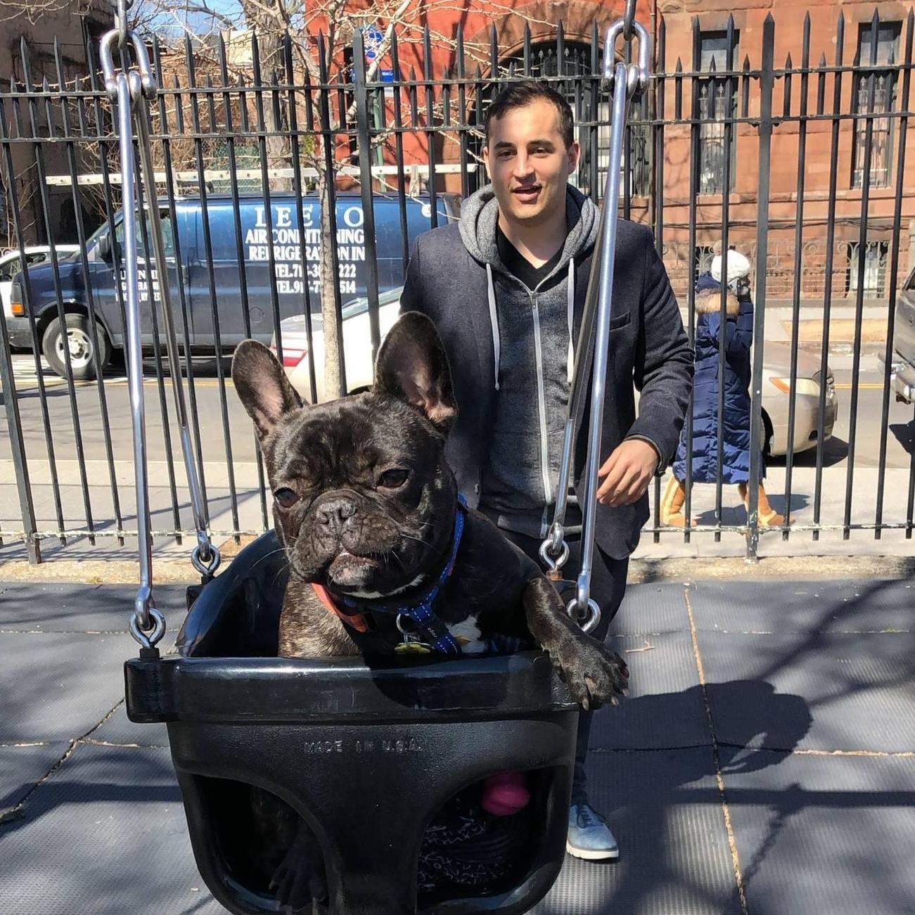 Meatball playing on a swingset in Brooklyn 2018