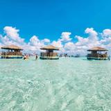 Crab Island
